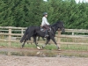 tchintchin-2010-trot