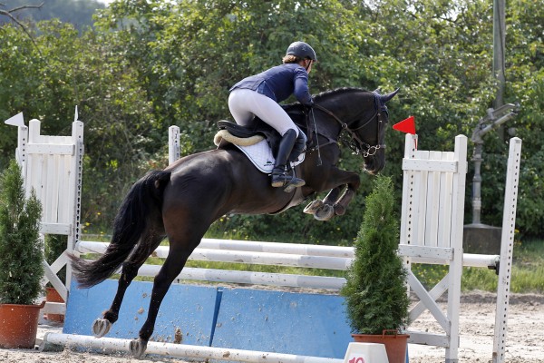 Sandillon CCE CL2 aout 2013