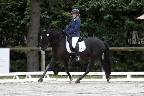 Saumur championnat dressage 2013