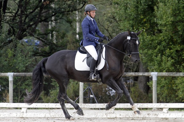 Saumur championnat dressage 2013