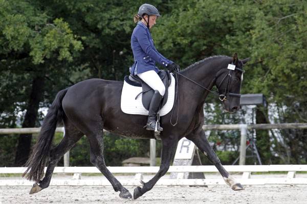 Saumur championnat dressage 2013