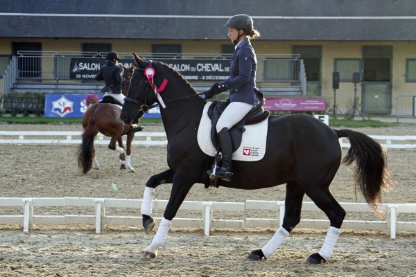 Saumur championnat dressage 2013
