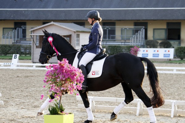 Saumur championnat dressage 2013