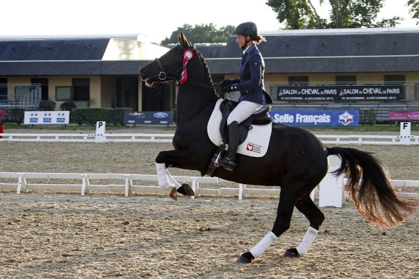 Saumur championnat dressage 2013