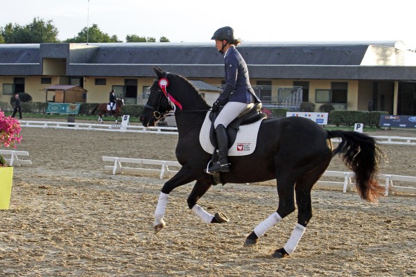 Saumur championnat dressage 2013