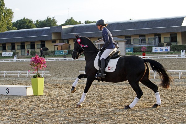 Saumur championnat dressage 2013