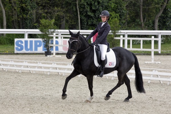 Le lion dressage avril 2013