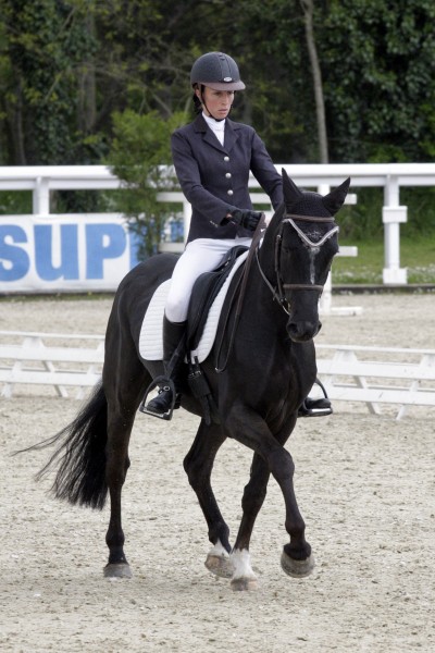 Le lion dressage avril 2013