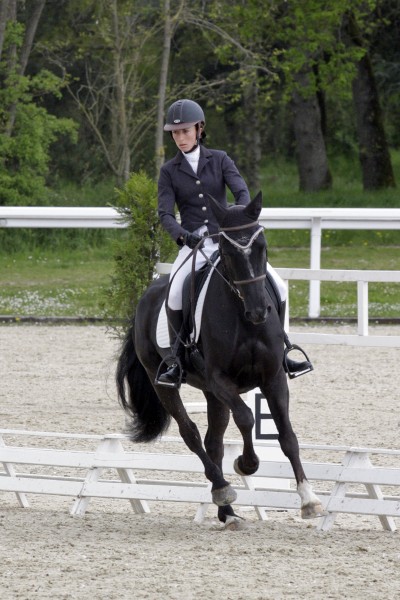 Le lion dressage avril 2013