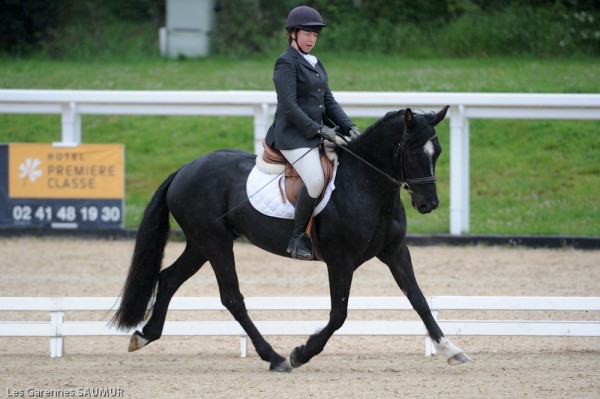 dressage le lion 2012