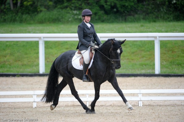 dressage le lion 2012