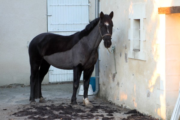 décembre 2013