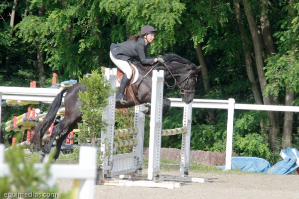 lelion-2012-2309