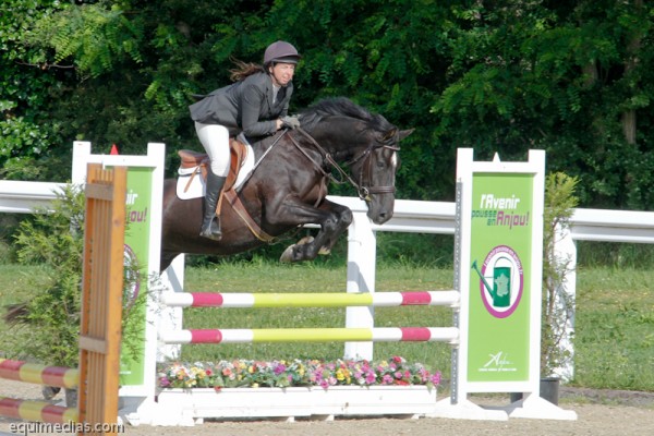lelion-2012-2311