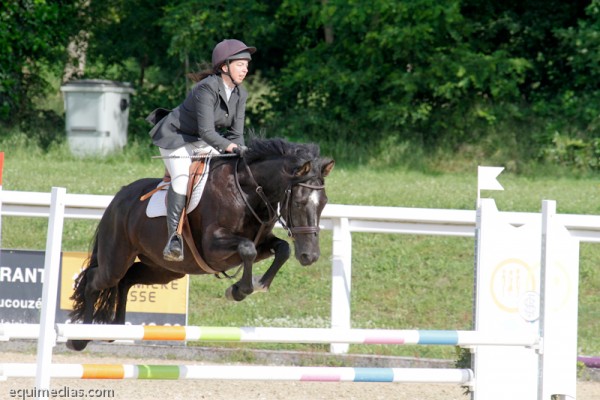 lelion-2012-2314