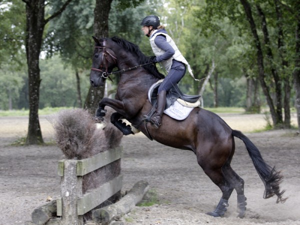 Entrainement cross aout 2012