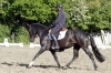 St Foy CCE 5A mai 2013