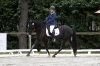 Saumur championnat dressage 2013