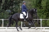 Saumur championnat dressage 2013