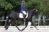 Saumur championnat dressage 2013
