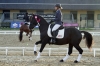 Saumur championnat dressage 2013