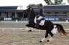 Saumur championnat dressage 2013