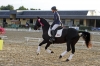 Saumur championnat dressage 2013