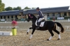 Saumur championnat dressage 2013