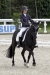 Le lion dressage avril 2013
