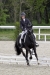 Le lion dressage avril 2013