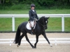 dressage le lion 2012