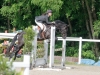 lelion-2012-2309