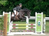 lelion-2012-2311