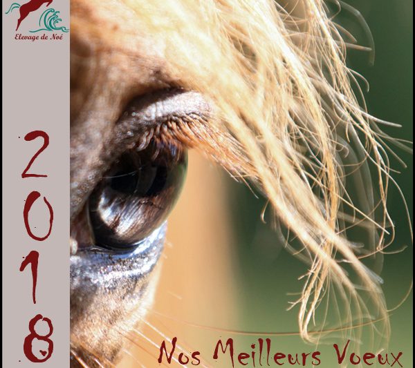 Bonne année 2018 !